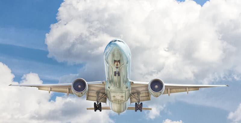 Robertson Art Gallery | Shipping services